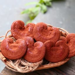 Nấm Linh Chi Thành Đồng - Quà Tây Nguyên 2
