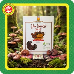 Nấm Linh Chi Cao Nguyên Thái Lát 250g - Quà Tây Nguyên 1