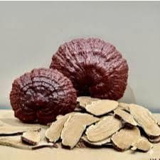 Nấm Linh Chi Cao Nguyên Thái Lát 250g - Quà Tây Nguyên 2