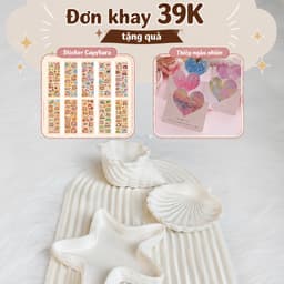 Khay sò thạch cao đựng phụ kiện, nhẫn, trang sức, nail chụp ảnh sản phẩm đẹp 9