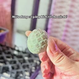 Xương rồng trứng rồng mini 2-3cm hàng bẻ con - chưa có rễ 4