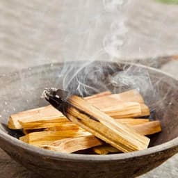 Gỗ Thánh Nam Mỹ PaloSanto Nhập Khẩu Peru, Đầy Đủ Giấy Tờ - TAROT ĐỒNG TÂM 3