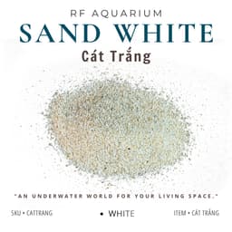 500g Cát Trắng Loại Đẹp Nhập Khẩu 1