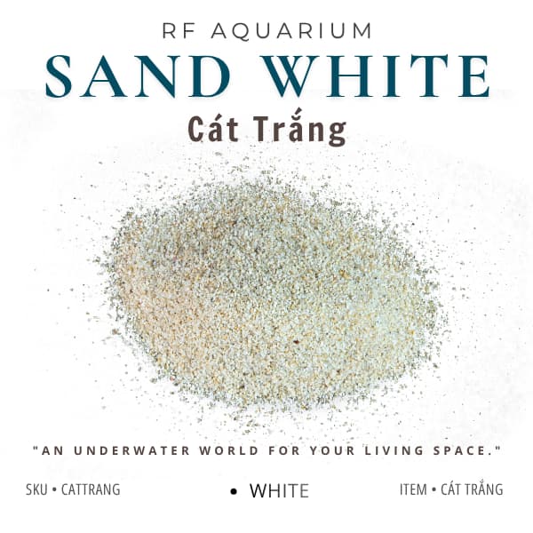 500g Cát Trắng Loại Đẹp Nhập Khẩu