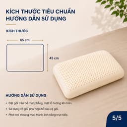 Gối Cao Su Thiên Nhiên Oval Cao Cấp Aniva Home Tặng Vỏ Gối - Gối Ngủ Thoáng Khí, Đàn Hồi Tốt 6