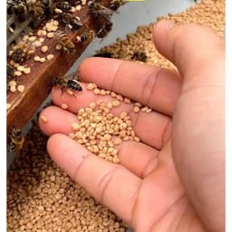 Phấn Hoa Cà Phê Chư YangSin 500G - Quà Tây Nguyên 3