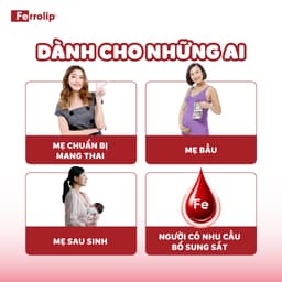 Sắt Ferrolip - Sắt ngon vị chanh dễ uống, dành cho mẹ bầu & người trưởng thành - Hộp 20 gói 5