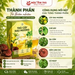 Trà Cây Rau Mương Chè dây Nấm Linh Chi nước trà tốt cho dạ dàyhp(30TÚI LỌC)/1HỘP 4