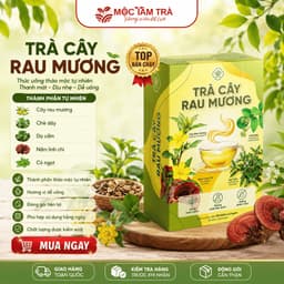 Trà Cây Rau Mương Chè dây Nấm Linh Chi nước trà tốt cho dạ dàyhp(30TÚI LỌC)/1HỘP 1