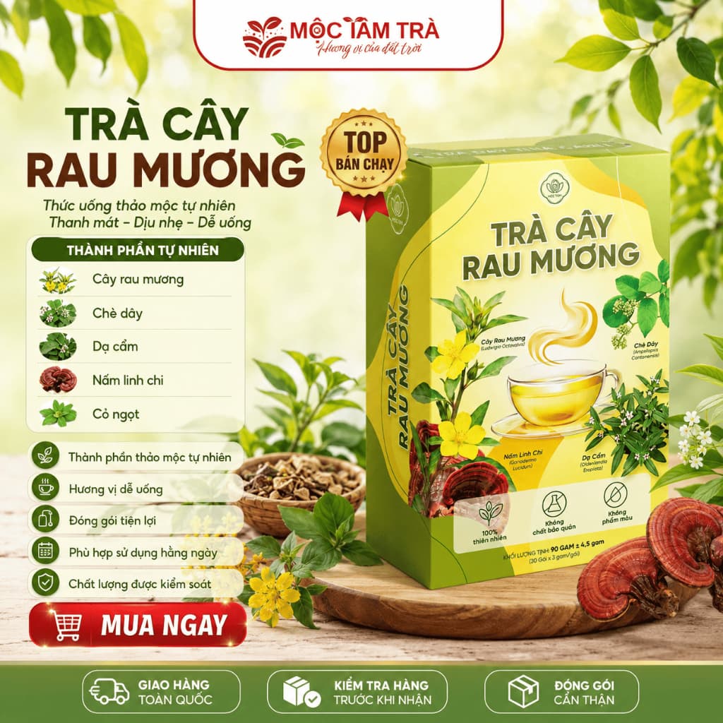Trà Cây Rau Mương Chè dây Nấm Linh Chi nước trà tốt cho dạ dàyhp(30TÚI LỌC)/1HỘP