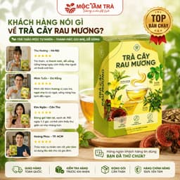 Trà Cây Rau Mương Chè dây Nấm Linh Chi nước trà tốt cho dạ dàyhp(30TÚI LỌC)/1HỘP 3
