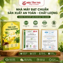 Trà Cây Rau Mương Chè dây Nấm Linh Chi nước trà tốt cho dạ dàyhp(30TÚI LỌC)/1HỘP 2