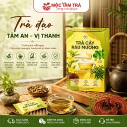 Trà Cây Rau Mương Chè dây Nấm Linh Chi nước trà tốt cho dạ dàyhp(30TÚI LỌC)/1HỘP 5