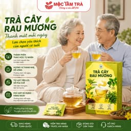 Trà Cây Rau Mương Chè dây Nấm Linh Chi nước trà tốt cho dạ dàyhp(30TÚI LỌC)/1HỘP 8