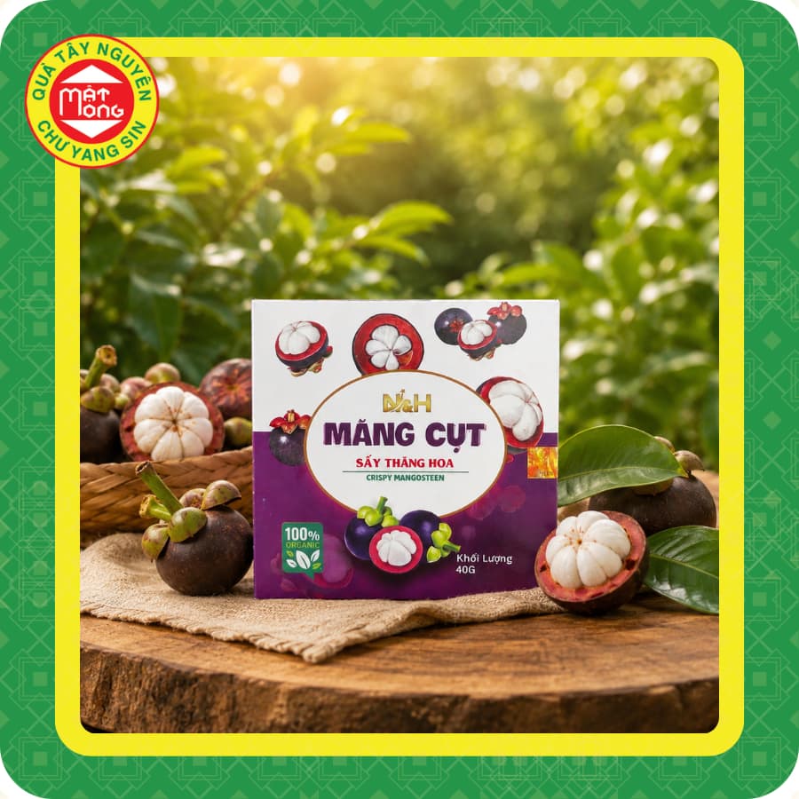 Măng Cụt Sấy Thăng Hoa NH 40G - Quà Tây Nguyên