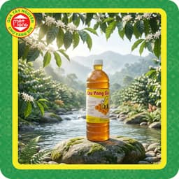 Mật Ong Chai Hoa Cà Phê 1kg3 - Quà Tây Nguyên 1