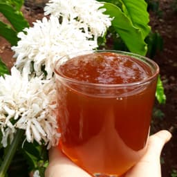 Mật Ong Cà Phê Chai 500ml - Quà Tây Nguyên 2