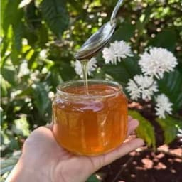 Mật Ong Cà Phê Chai 500ml - Quà Tây Nguyên 3