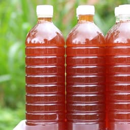 Mật Ong Chai Hoa Cà Phê 1kg3 - Quà Tây Nguyên 3