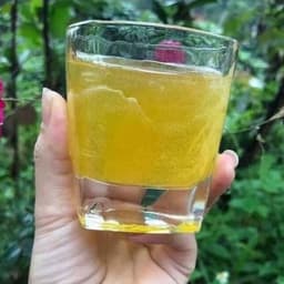 Mật Ong Hoa Bạc Hà 1L - Quà Tây Nguyên 2