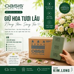 Xốp Cắm Hoa Oasis - Thùng 20 Viên Chất Lượng Cao, Tiện Dụng 1