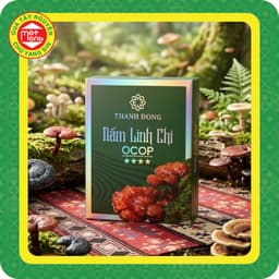 Nấm Linh Chi Thành Đồng - Quà Tây Nguyên 1