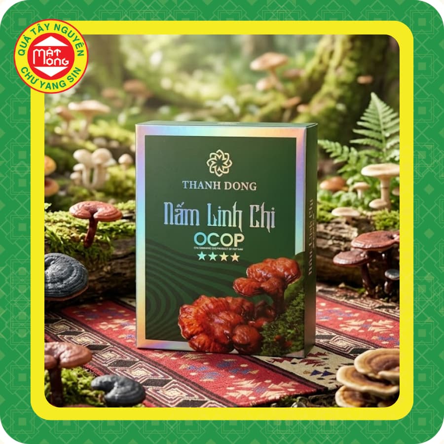 Nấm Linh Chi Thành Đồng - Quà Tây Nguyên