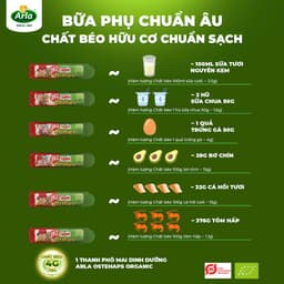 Phô Mai Arla thơm ngậy giàu dinh dưỡng cho bé từ 1 tuổi , hộp 6 thanh tiện lợi - Mẹ Rofi 3
