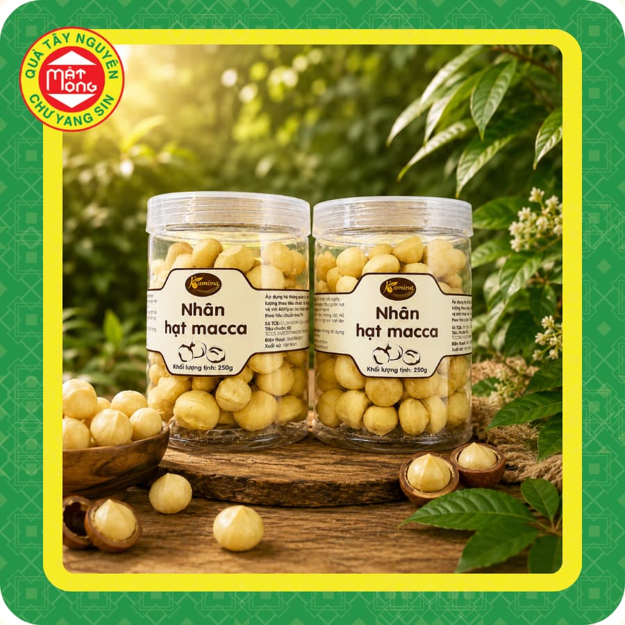 Macca Nhân Hộp 250g - Quà Tây Nguyên