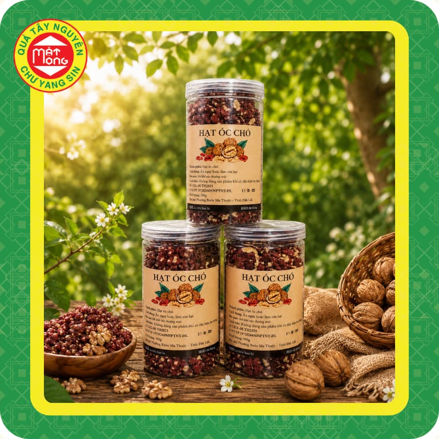 Nhân Óc Chó Đỏ 500g - Quà Tây Nguyên