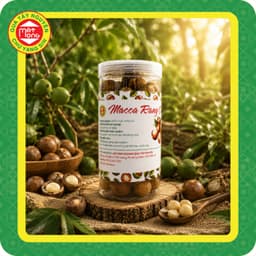 Macca Rang Củi 500g - Quà Tây Nguyên 1