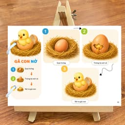 Thẻ Flash EVON BABY dạy bé tập nói - TẬP KỂ THEO TRÌNH TỰ 6