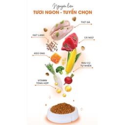 [DATE MỚI] Hạt Catsrang cho mèo túi chiết 1KG hỗ trợ tiêu hóa giúp mượt lông cho mèo mọi lứa tuổi 8