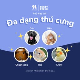 Combo xịt khử mùi chó mèo Misty Fresh và lõi thay 300ml từ Hàn Quốc - Méo Chò Uni 5