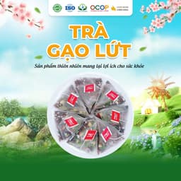 Trà Gạo Lứt Đỏ Gạo Lứt Tím Thanh Mát Cho Ngày Mới Thư Thái Hộp 30 Túi 450gram 2