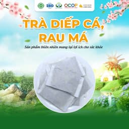 Trà Diếp Cá Rau Má Thanh Mát Cho Ngày Mới Thư Thái Hộp 30 Túi Lọc 90gram 2