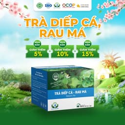 Trà Diếp Cá Rau Má Thanh Mát Cho Ngày Mới Thư Thái Hộp 30 Túi Lọc 90gram 1