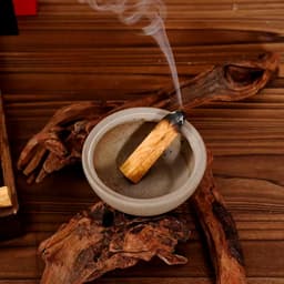 Gỗ Palo Santo Thanh Tẩy Tarot, Gỗ Trắc Xanh Làm Sạch Không Kian, Thu Hút Tài Lộc, May Mắn Tarot Đồng Tâm 4