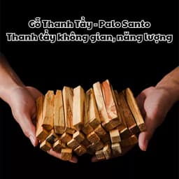 Gỗ Palo Santo Thanh Tẩy Tarot, Gỗ Trắc Xanh Làm Sạch Không Kian, Thu Hút Tài Lộc, May Mắn Tarot Đồng Tâm 1