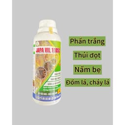 JAPA VIL ĐẨY LÙI NẤM BỆNH, THÚI ĐỌT, PHẤN TRẮNG TRÊN DỪA SINH HỌC CHAI 500ML 1