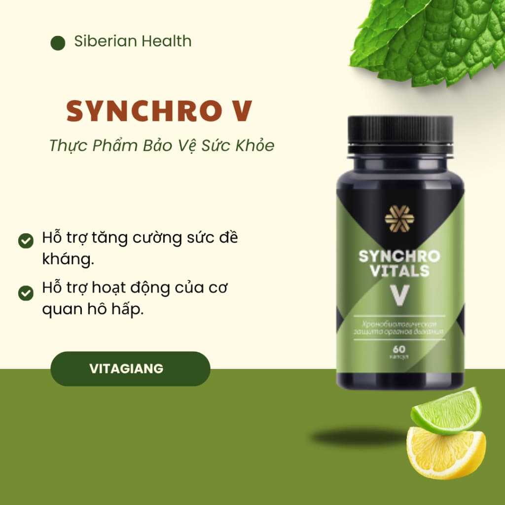 [Hỗ trợ hô hấp] Syn 5 - Thực phẩm bảo vệ sức khỏe Synchrovitals V Siberian - 60 viên TD88