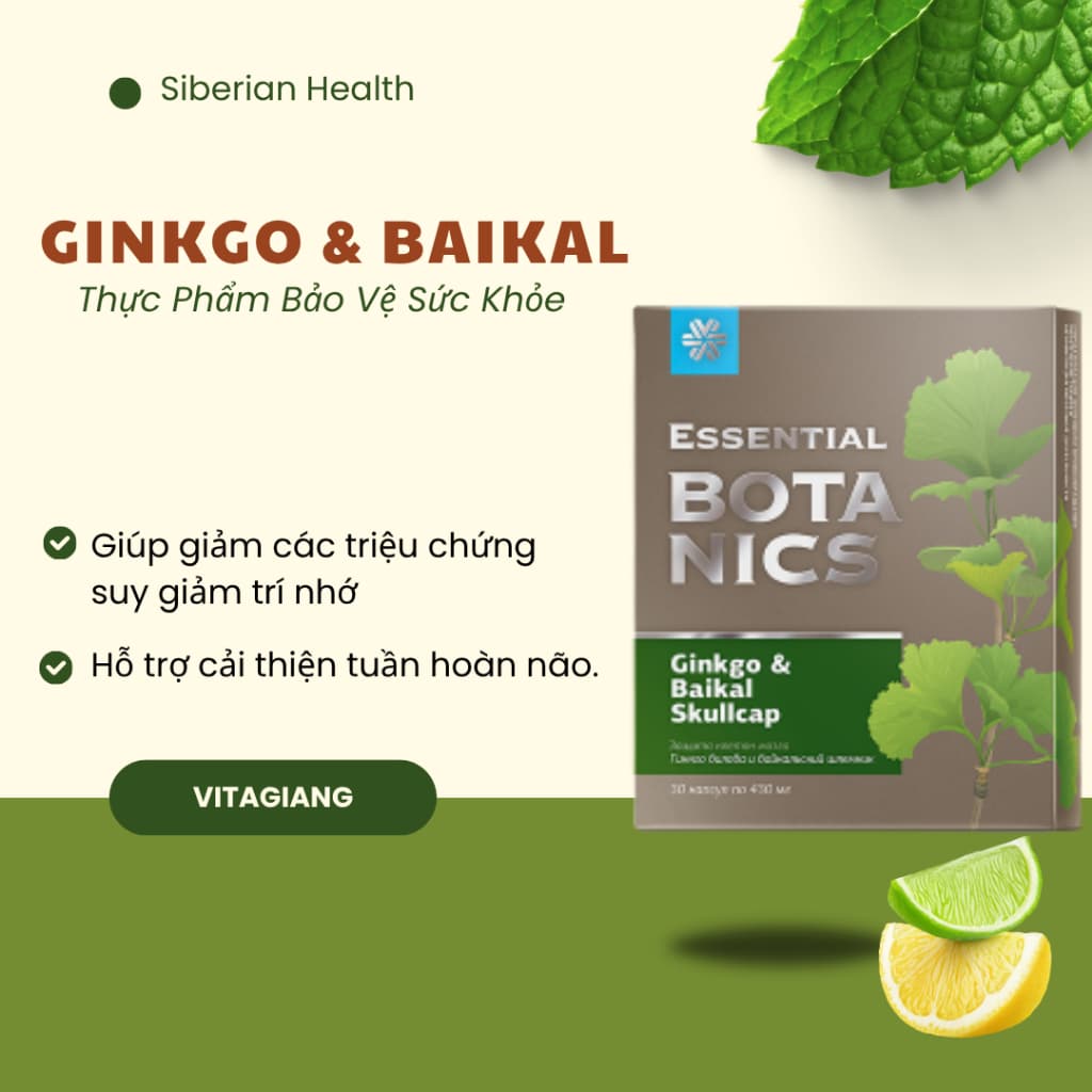 [ Hỗ trợ trí nhớ] Thực phẩm bảo vệ sức khỏe Essential Botanics Ginkgo & Baikal skullcap – 30 viên