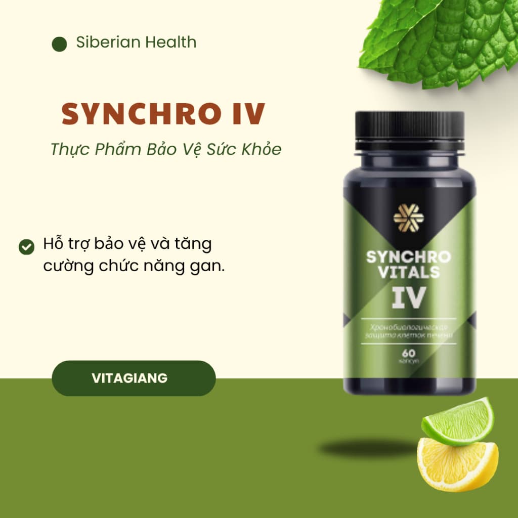 [Hỗ trợ gan]  Syn 4 - Thực phẩm bảo vệ sức khỏe Synchrovitals IV siberian – 60 viên TD88