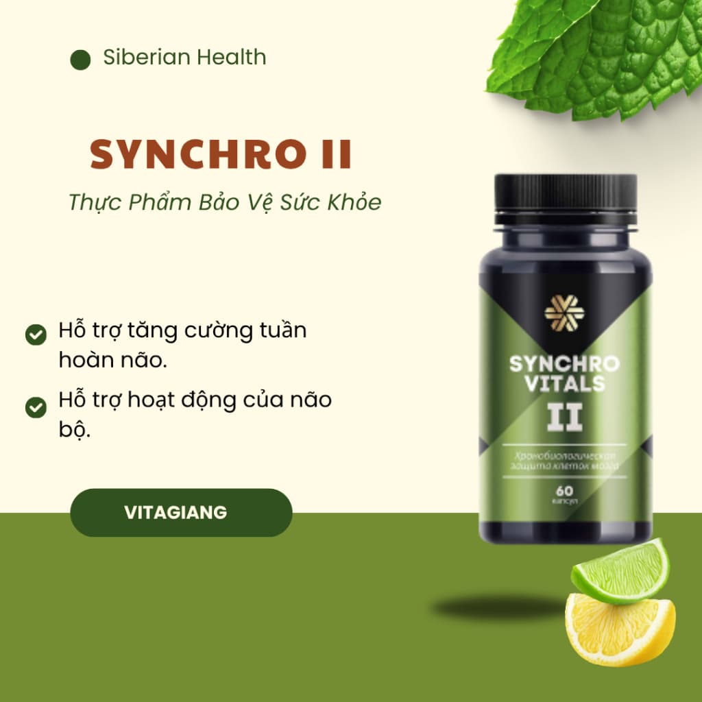 [Hỗ trợ não] Syn 2 - Thực phẩm bảo vệ sức khỏe Synchrovitals II – 60 viên TD88