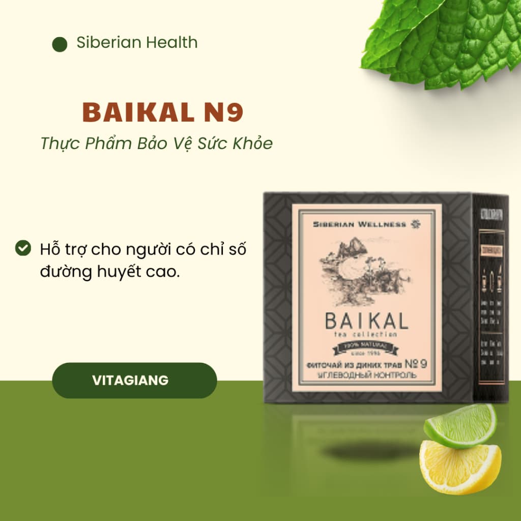 [Trà Tiểu Đường N9] Trà thảo mộc Siberian Baikal tea collection Herbal tea N9 - 30 túi