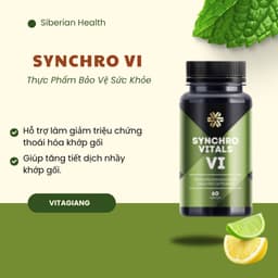 [Hỗ trợ khớp] Syn 6 - Thực phẩm bảo vệ sức khỏe Synchrovitals VI – 60 viên 1