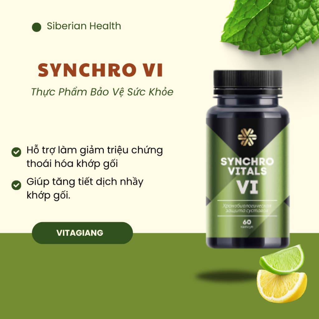 [Hỗ trợ khớp] Syn 6 - Thực phẩm bảo vệ sức khỏe Synchrovitals VI – 60 viên