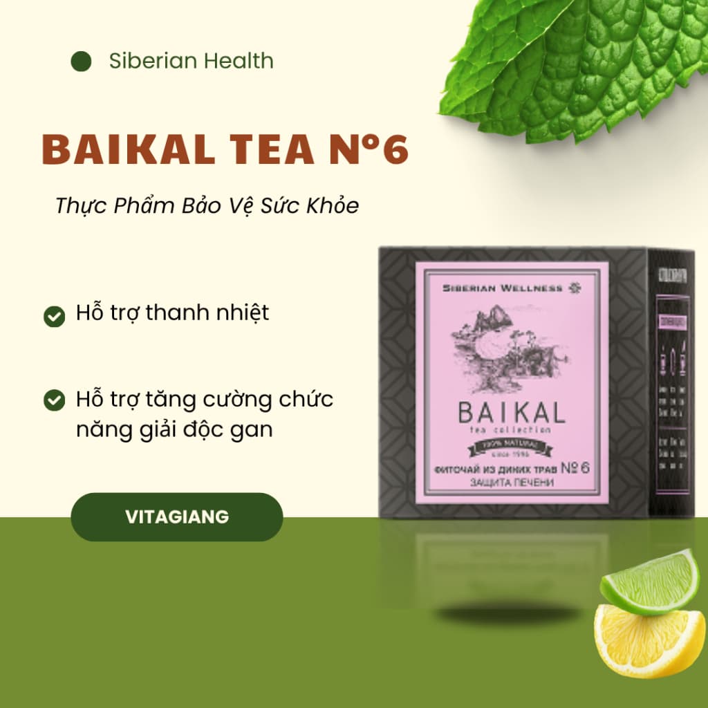 [Trà gan mật N6] Trà thảo mộc Siberian Baikal tea collection.Herbal teaN6 - 30 túi TD88