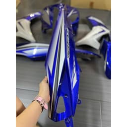 DÀN ÁO EX 2010 TRẮNG XANH GP TẶNG KÈM TEM KHI MUA ÁO 6