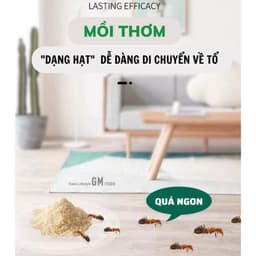 Thuốc diệt gián an toàn, hiệu quả nhanh chóng  7
